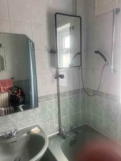 Original Dolphin shower